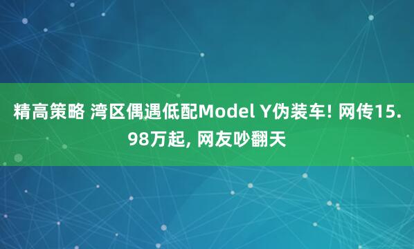 精高策略 湾区偶遇低配Model Y伪装车! 网传15.98万起, 网友吵翻天